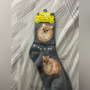 Cute Pomeranian socks